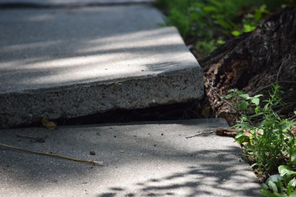 Cost of Sidewalk Leveling in Bethesda